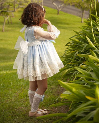 Baby Blue Organza Dress